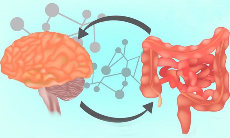 Mối liên hệ giữa thần kinh trung ương và IBS