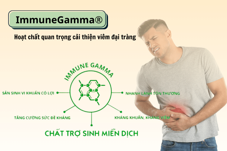 ImmuneGamma® - Hoạt chất quan trọng cải thiện viêm đại tràng