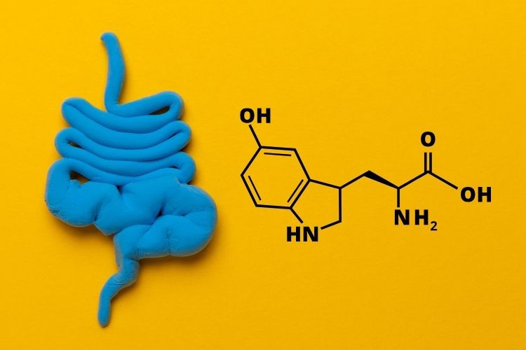 5-HTP - Hỗ trợ cải thiện Hội chứng ruột kích thích hiệu quả