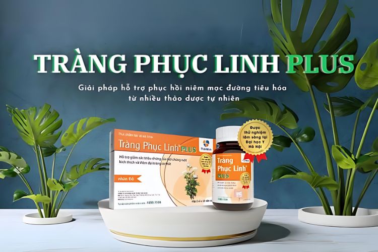 Tràng Phục Linh PLUS – Giải pháp hỗ trợ phục hồi niêm mạc đường tiêu hóa từ nhiều thảo dược tự nhiên